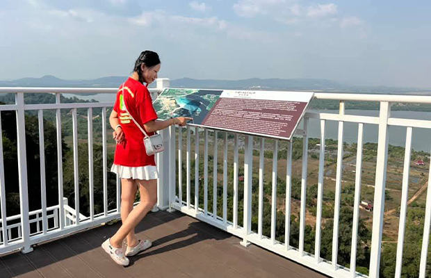 View from the top