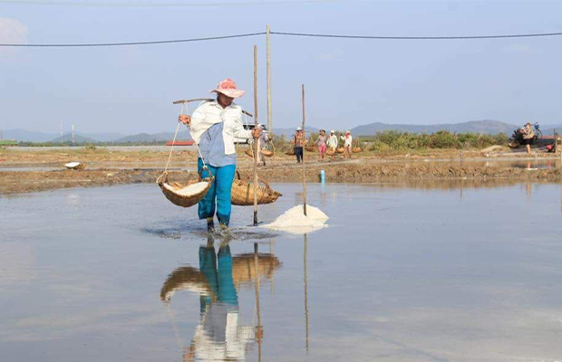 Sea Salt Harvesting