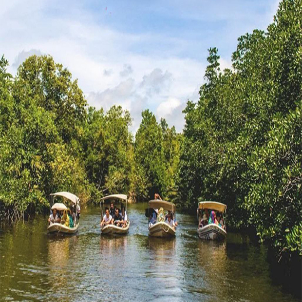 Prince Island and Mangrove Forest Full Day Private Shore Excursion
