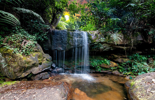 Bokor National Park