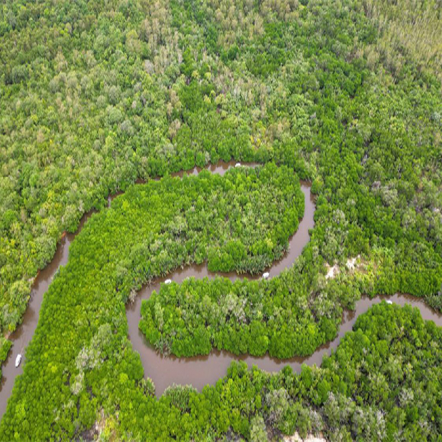 Prince Island and Mangrove Forest Full Day Private Shore Excursion